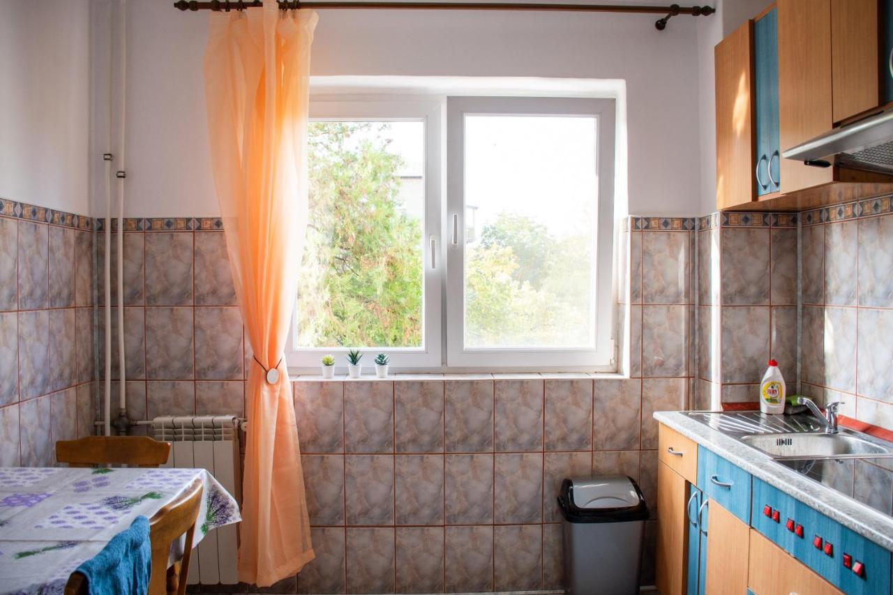 Family-Friendly Apartment Oradea Ngoại thất bức ảnh
